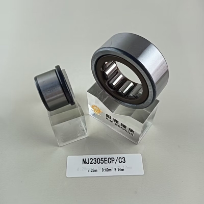 25*62*24 mm cilindrisch rollager NU/NJ/NF2305ECP met cilindrische structuur